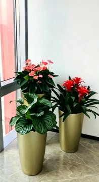 北仑室内植物出租价格-江北花木租摆下单-奉化绿植租赁-海曙绿化养护行业现状